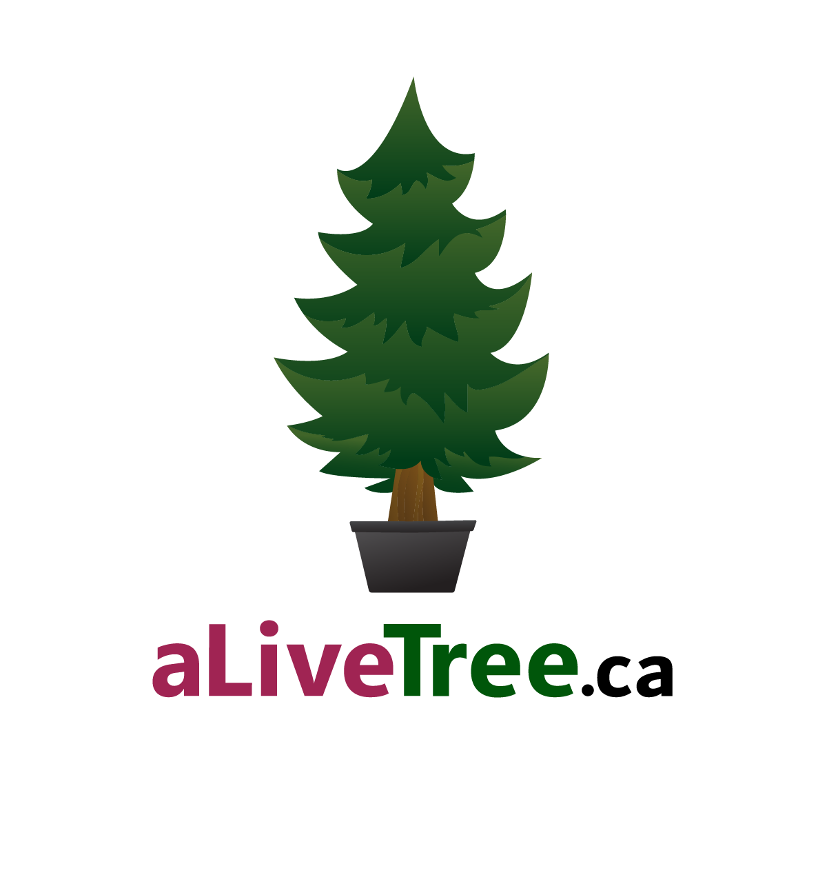 aLiveTree LIVE Christmas Tree Rentals FREE Delivery